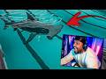 10 Laps One Shark No Escape Sharks And Minnows