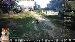 【黒い砂漠】8月23日 最新キャラ「エージェント」ニンファマーレでの狩り