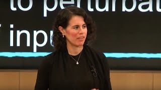 Thumbnail from YouTube