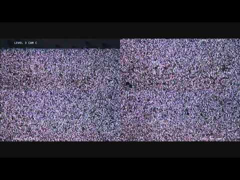 afbeelding He Who Dares