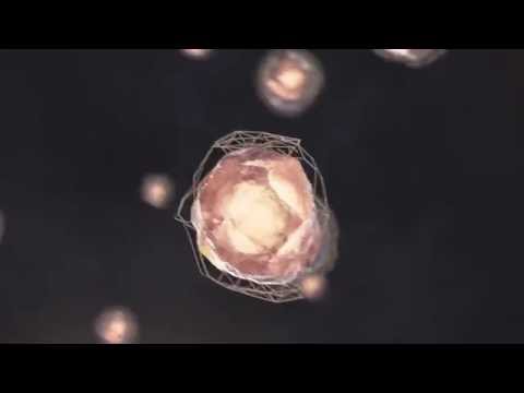 ZenPad 3s 10 | ASUS UK