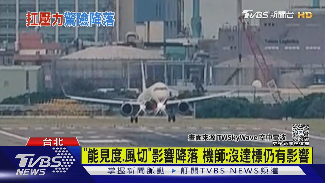 影音／白海豚攪局！班機「機翼狂晃」驚險落地　機艙響起掌聲