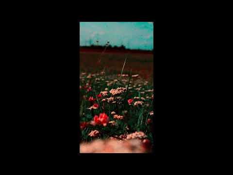 (FREE)Blackbear Type Beat Ft. Post Malone - "CRISIS" | Sad x Guitar Type Beat