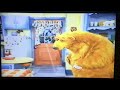 Emily S Favorite Scene Bear S Sneezed And He S A Clogged