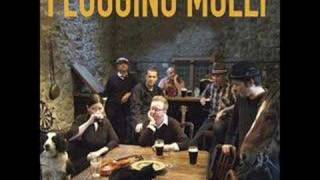 Paddy&#39;s Lament - Flogging Molly