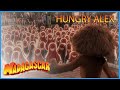 DreamWorks Madagascar | A Very Hungry Alex! | Madagascar Movie Compilation