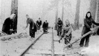 Red Terror on the Amber Coast