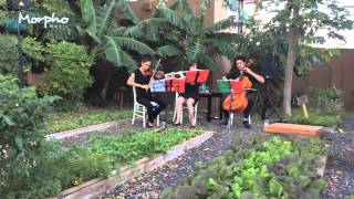 Trio violín, flauta traversa y violoncelo Morpho Music