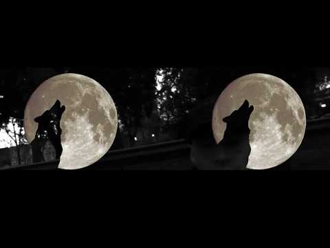 ESCAIDA - DOS LUNAS (YAJIROBEATS)