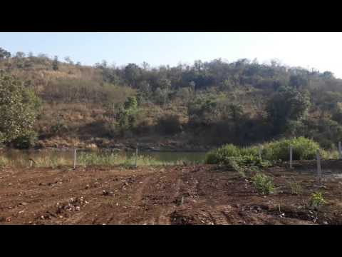 Land Developement Online Agro Farm