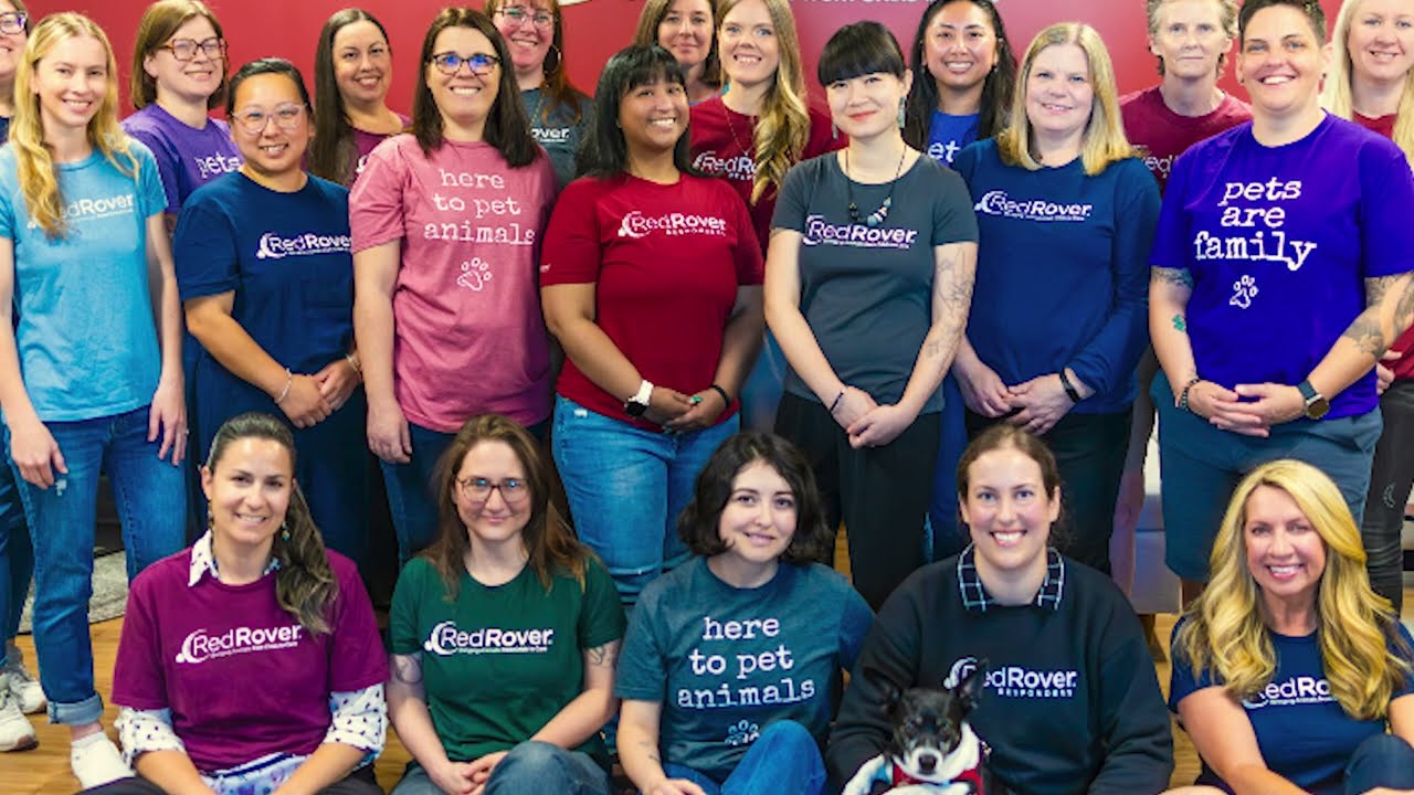 Saving Lives on Both Ends of the Leash: Inside RedRover’s Mission