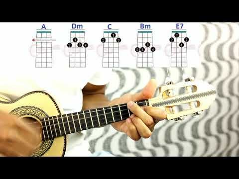 Sadicus Solitarius - Fernando Meira