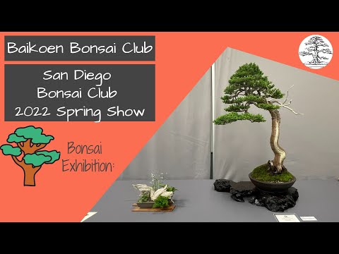 San Diego Bonsai Club - 2022 Spring Show - Baikoen Bonsai Club - Safer @ Home Bonsai Series