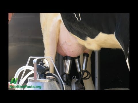 Preventing Parkinson s Disease With Diet