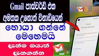 How To Recover Your Email Password In Forgot Sinhala | Sri Network