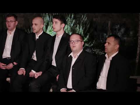 Klapa Dobrkovići Zeleni se gaj