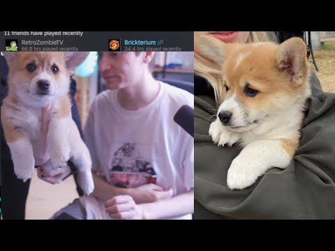Leffen Shows His New Puppy