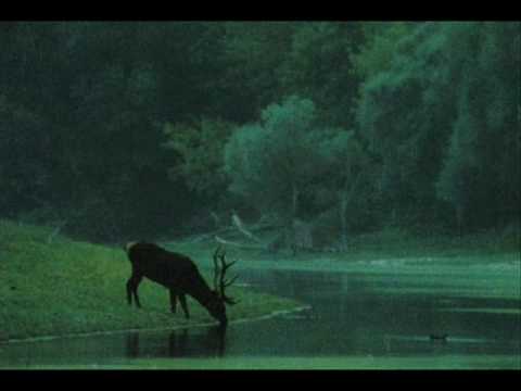 Zöld Erdőben / In Green Forest - Hungarian Folk Song
