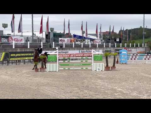 LORDIN (7yo Lord Pizarro) 16.09.21 Lamprechtshausen - 1. Place Youngster 125 cm