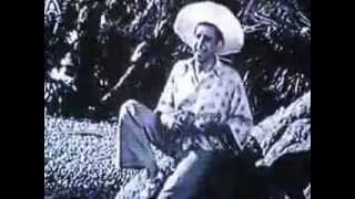 Bruce Low:   Ein Paradies am Meeresstrand -  Blume von Hawaii