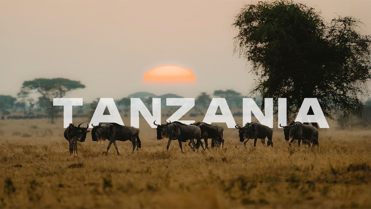 Un viaggio che cambia l'anima: le emozioni del mio safari in Tanzania