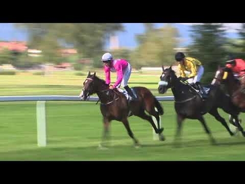 KV, 26. 7. 2020, 6. dostih - Cena HEJTMANA KARLOVARSKÉHO KRAJE