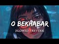 O Bekhabar [Slowed + Reverb] - Action Replayy | Smart Lyrics