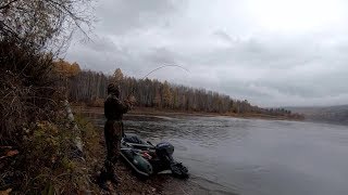Ссылка