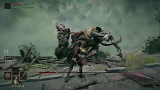 ELDENRING エルデンリング　初見レベル1縛り #4