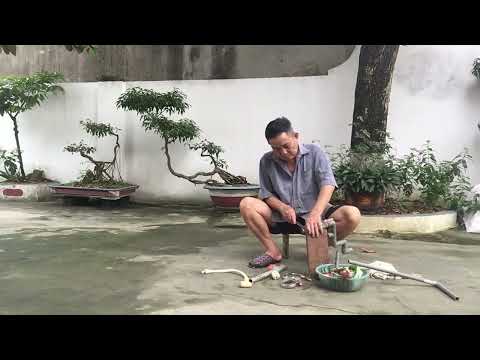 Um ponto de vista no estudo da educação em fisioterapia