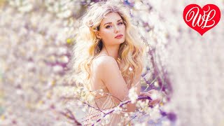 ЗНАТЬ БЫ ♥ РУССКАЯ МУЗЫКА WLV ♥  NEUE SONGS und RUSSISCHE MUSIK HITS♥ RUSSIAN MUSIC HITS