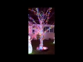 Christmas 2012 002