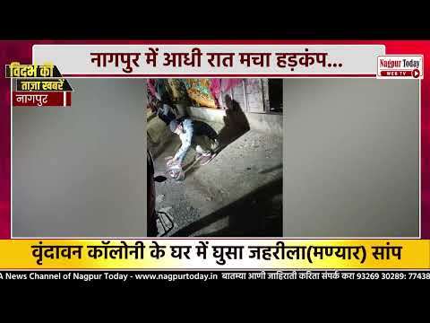आधी रात घर में घुसा जहरीला मण्यार (Krait) सांप! #NagpurNews #SnakeRescue #Manyar #Snake #Wildlife