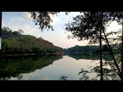 Thể hiện bởi Hoài Mỹ