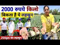 2000रुपये किलो तक बिकता है यह लहसुन Garlic Farming