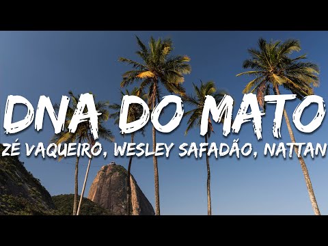 Zé Vaqueiro, Wesley Safadão, NATTAN - DNA do Mato (Letra/Lyrics)