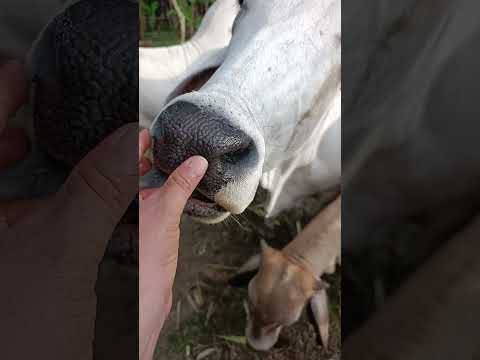 La finca de hoy 🥰🥰🥰❤️