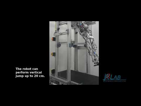 CARL - Maximum Vertical Jump