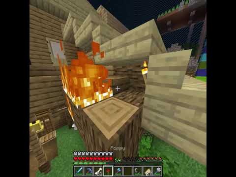 The Rules of the 100 by 100 Minecraft World so we don't go into anarchy
