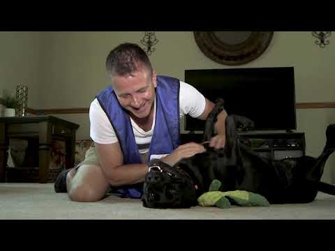 Doggy Detail video.