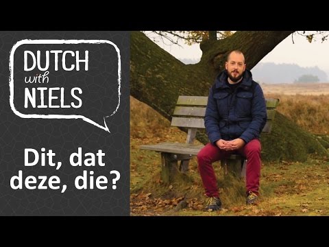 Learn Dutch: Dit, dat, deze, die - with Niels!