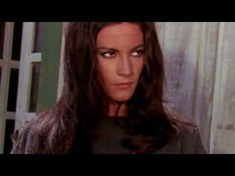 NICOLETTA MACHIAVELLI TRIBUTE