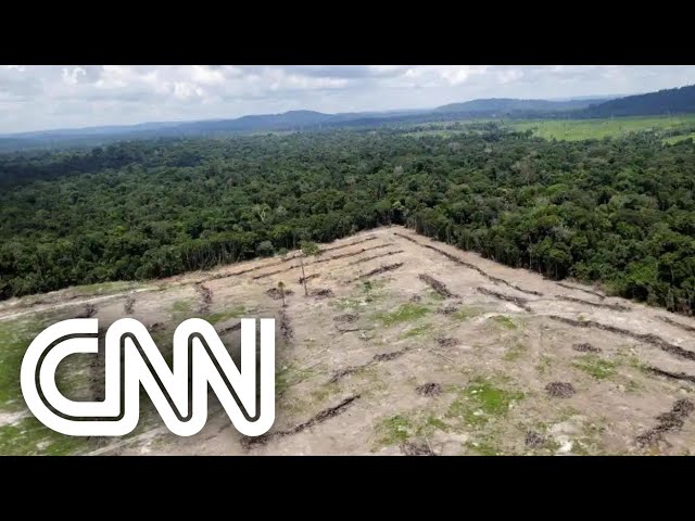 Vídeo de Ivan Mesquita sobre o Instituto Florestal 