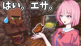 【マイクラ】～村の整備と交易と～　ファンタジーな中世世界を作るPart6