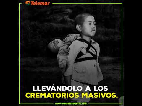 HISTORIA DETRÁS DE LA PELÍCULA “LA TUMBA DE LAS LUCIÉRNAGAS”