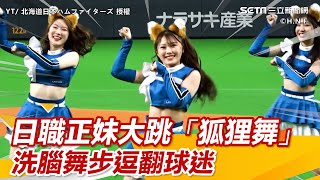 [討論] 基進應改編日本火腿狐狸舞