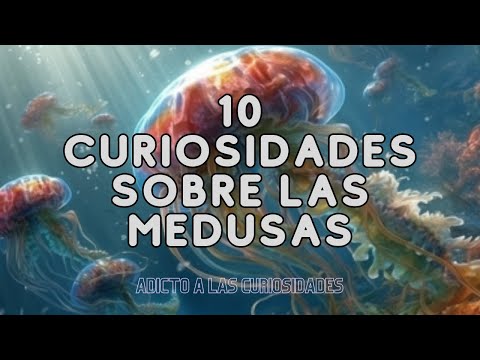 Maravillas del Océano: 10 Fascinantes Curiosidades sobre las Medusas ¡Te Sorprenderás!