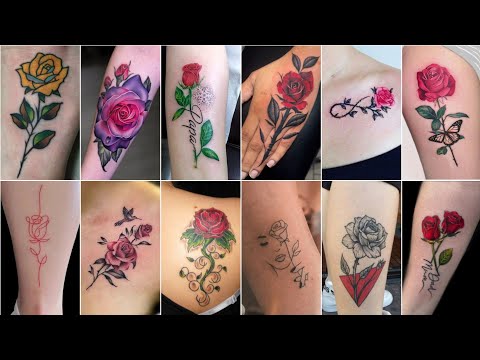 25+ Beautiful and Amazing Rose tattoo ideas for Men and Women 2023 | Beautiful roses tattoos