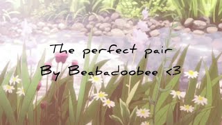 Cover art for Perfect pair