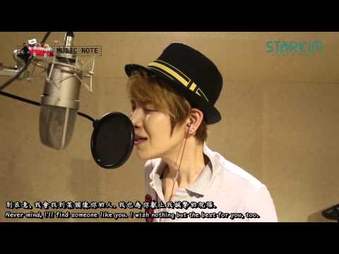 2013-08-27 Led apple Music Note #33/50►Adele - Someone like you [繁中+Eng]